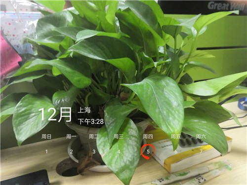 怎样在照片上添加地点和时间,怎样在手机照片上加时间地点事由