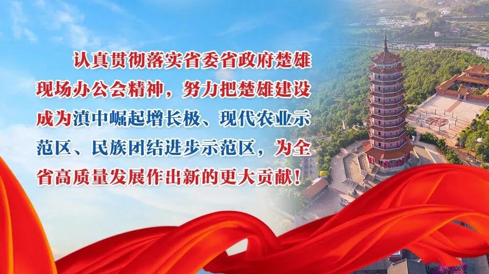 武定:文艺夜演让“*党**史”滋润心田