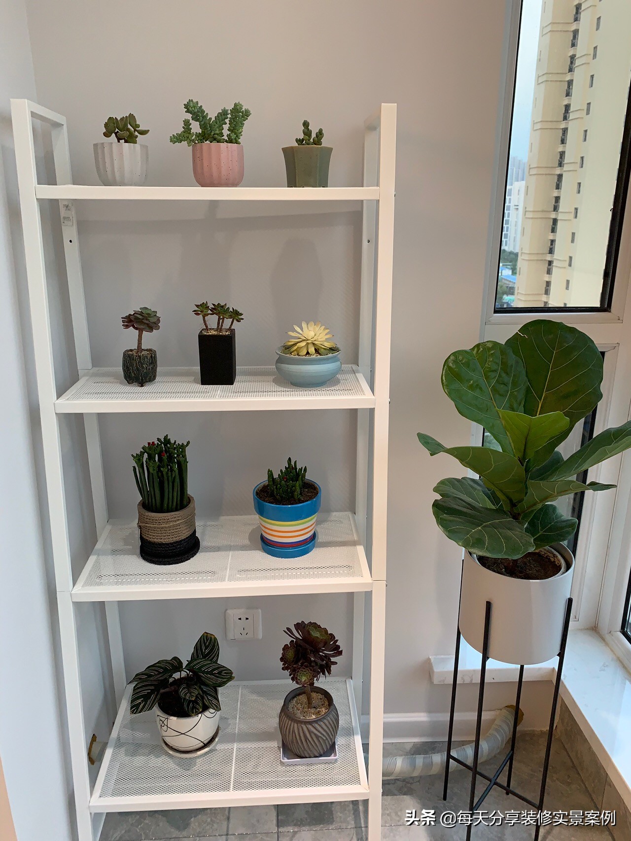 碧桂园的精装房哪些地方需要整改,碧桂园交房后不满意怎样退