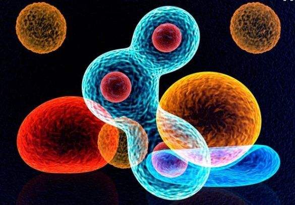 淋巴瘤知识讲解,正确认识淋巴瘤