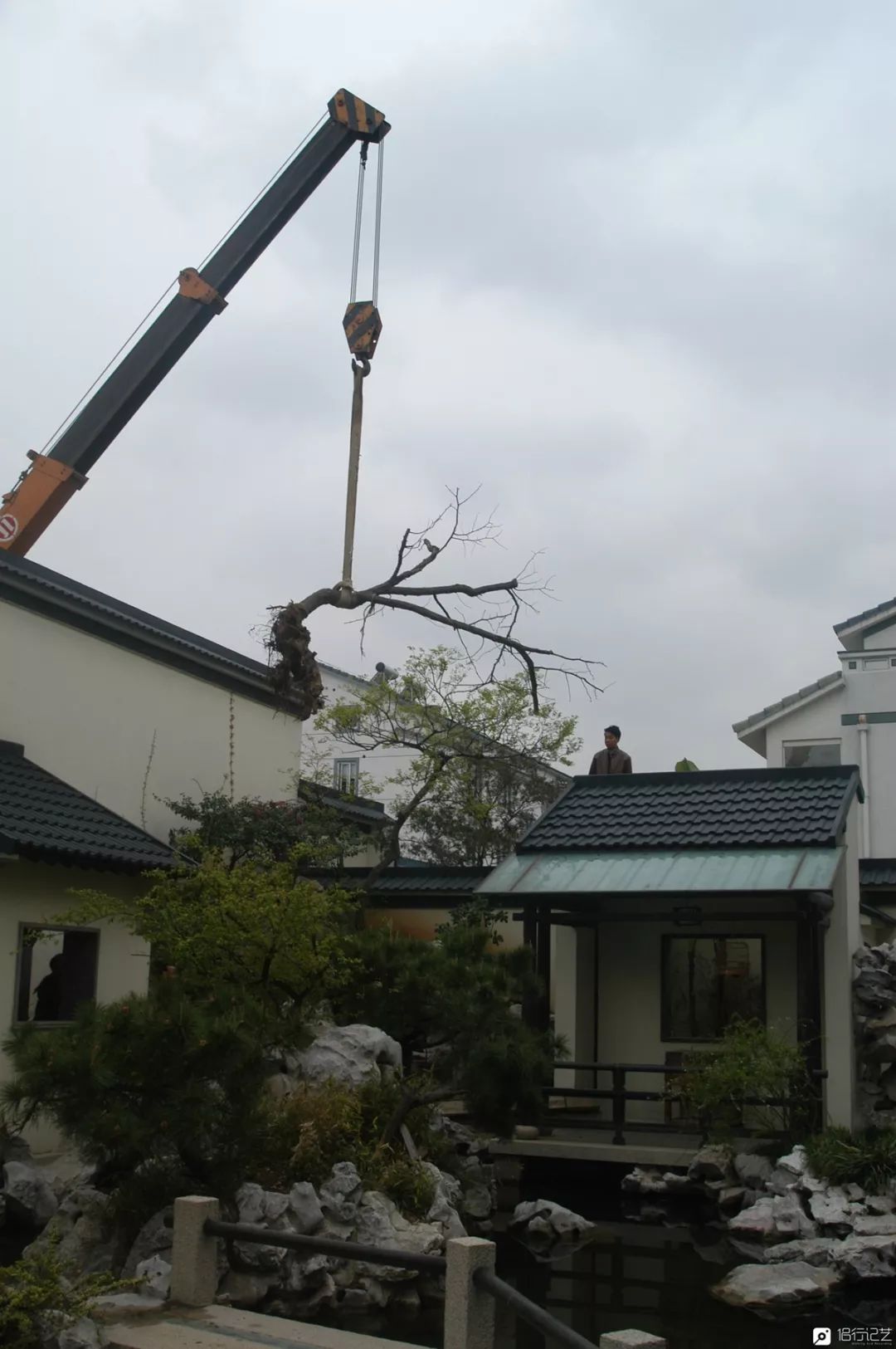 大叔花700万建的花园别墅,太湖石苏州