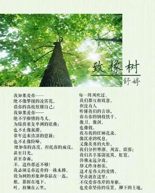 树立正确价值观不谈恋爱,树立正确恋爱观拒绝不正当交往