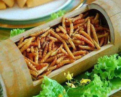 藏在竹林里的4种美食，我确信你只知道竹笋，全吃过是正宗南方人