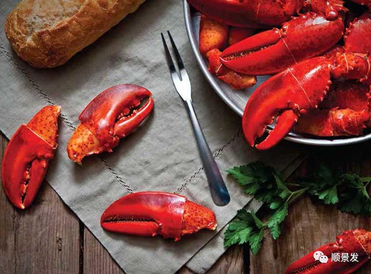 海捕船冻和鲜活船冻区别在哪里,熟冻海鲜跟冷冻海鲜有什么区别