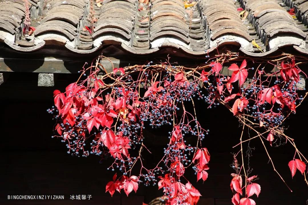 邂逅长城下的小镇北京古北水镇,邂逅长城下的北京古北水镇