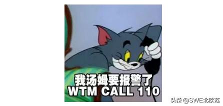 好养的北欧风大型绿植 (12款北欧风格绿植轻松打造ins风)