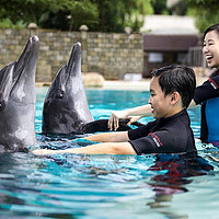 海滩沙地游戏攻略,超级沙滩冒险游戏攻略