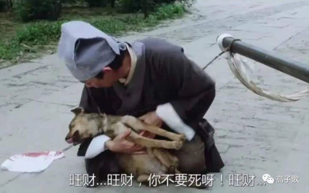 吃狗肉是不道德的吗,古人为什么说吃狗肉不好