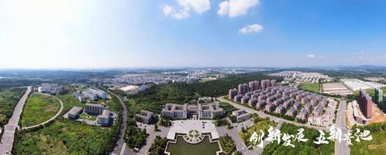 五新贵池六大行动具体指什么,五新贵池指哪五新