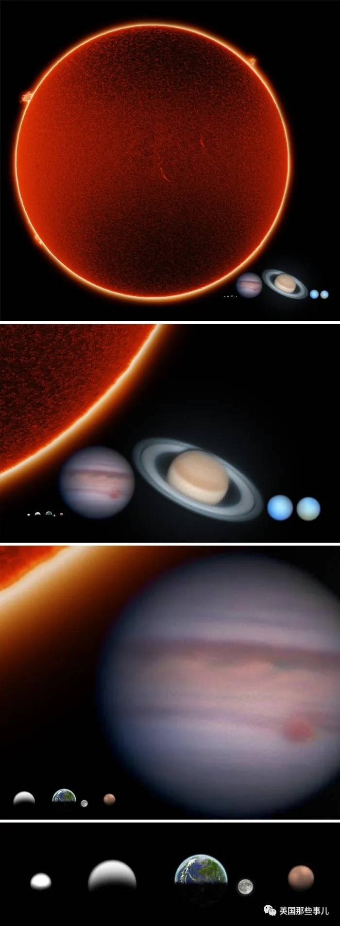 蓝鲸实拍有多大,蓝鲸到底有多大参照物