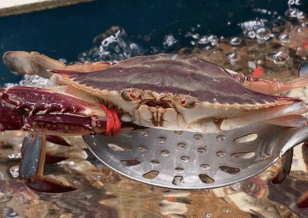 北京能吃回本的自助,女生都能吃回本的自助