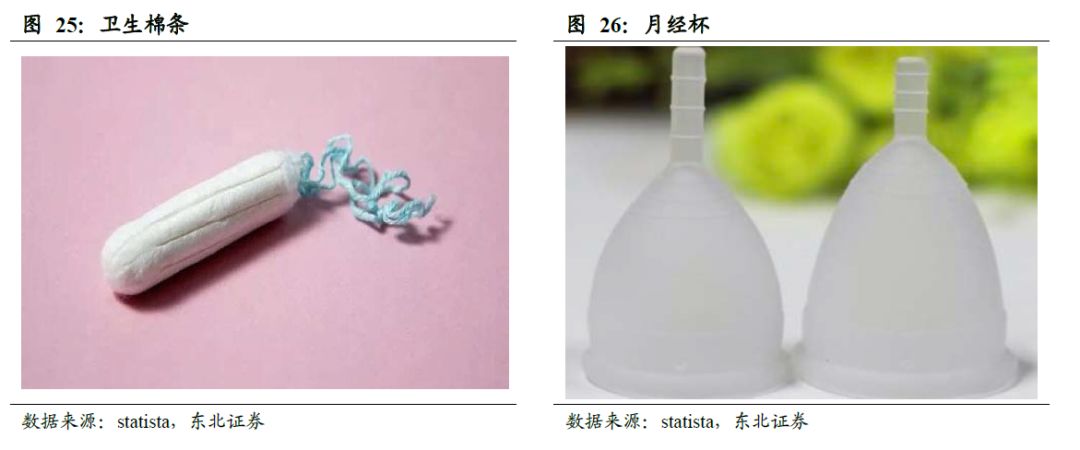 世界卫生巾市场规模,散装卫生巾和包装卫生巾