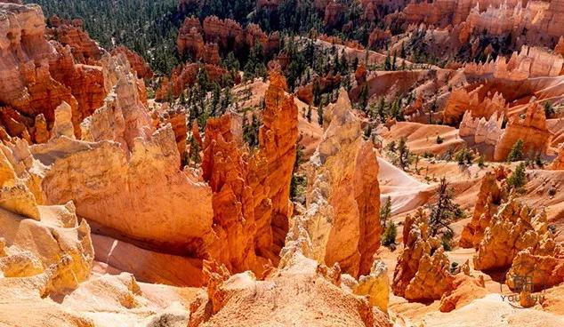 远离低级的人深度好文,深度好文远离身边这三种心穷的人