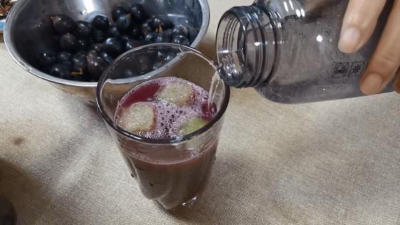 自制苏打气泡水免气泡机,自制气泡果汁