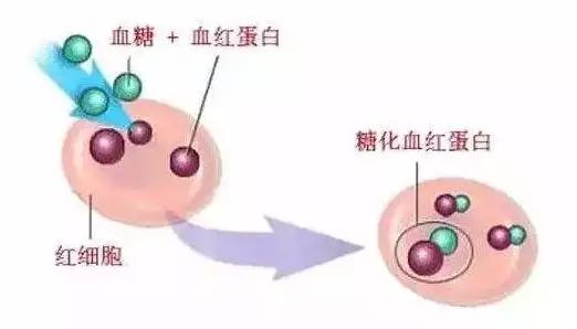 糖尿病并发症多各种症状都出来了,糖尿病并发症的几个指标