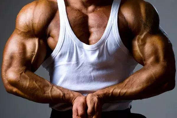 天生的瘦子怎么变胖,天生瘦子怎么变壮