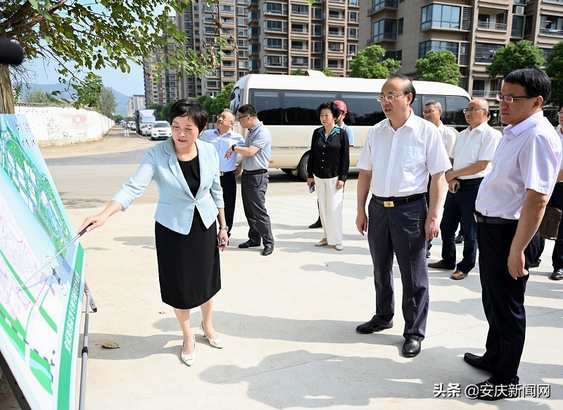 张祥安督查调研安庆医专和黄梅戏职院巡视整改工作