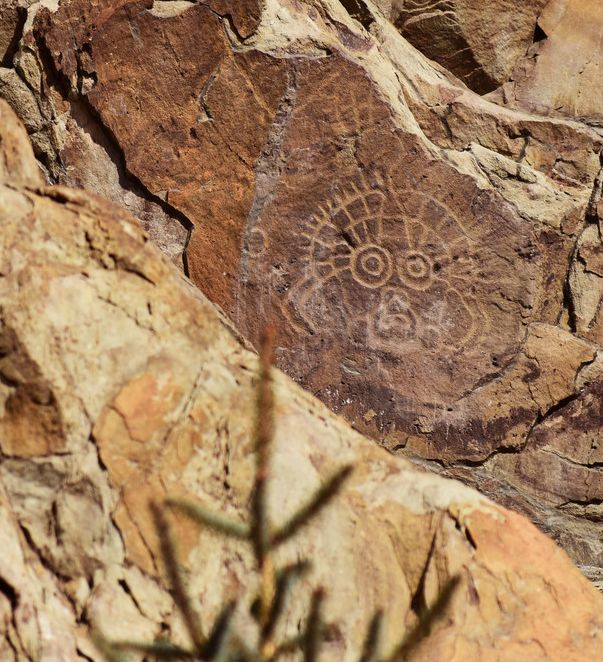 夏天的宁夏风景,夏天的宁夏银川