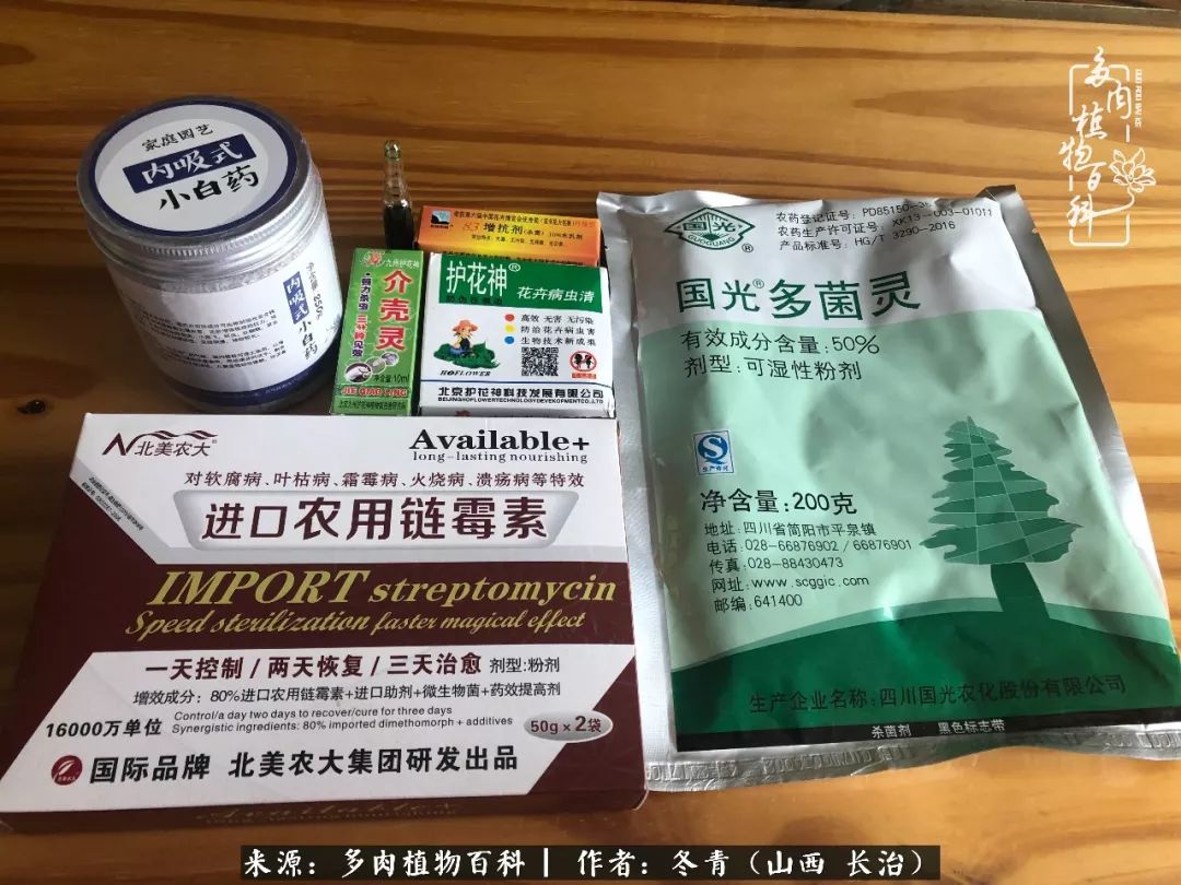 阳台养多肉徒长怎么办,阳台养多肉养殖方法和注意事项