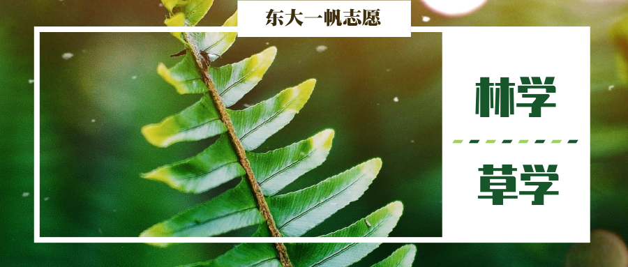 本科十大冷门专业,医学类的冷门专业是什么