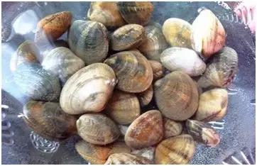 比较靠谱的致富项目,100个能赚钱的好项目