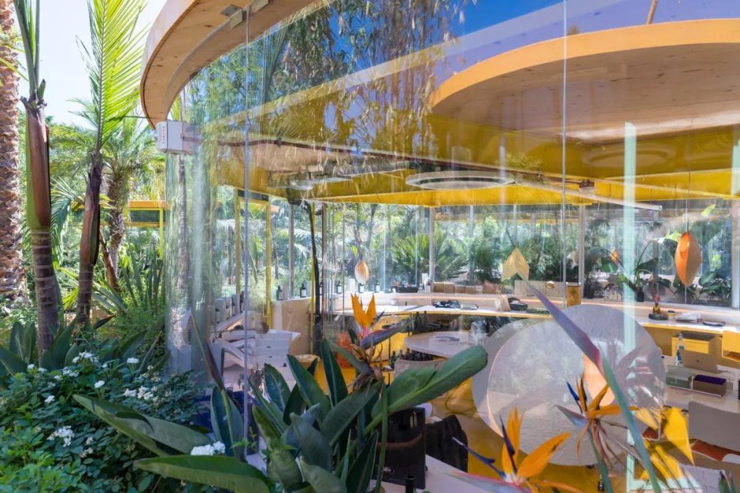 深圳市有梦想城市,深圳有梦想的城市