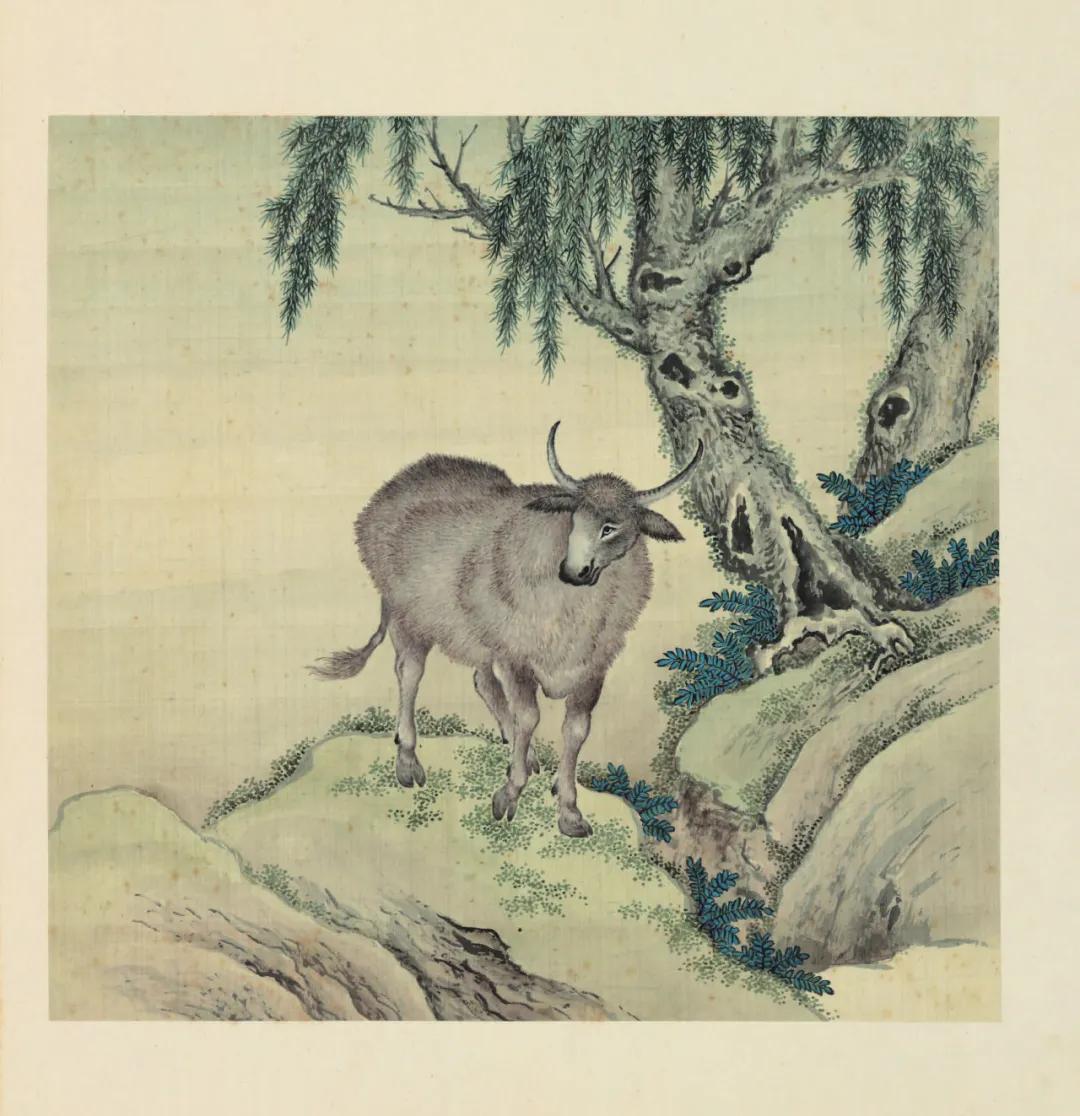 世界那么大我想去看看读书笔记,世界那么大我想去看看古诗