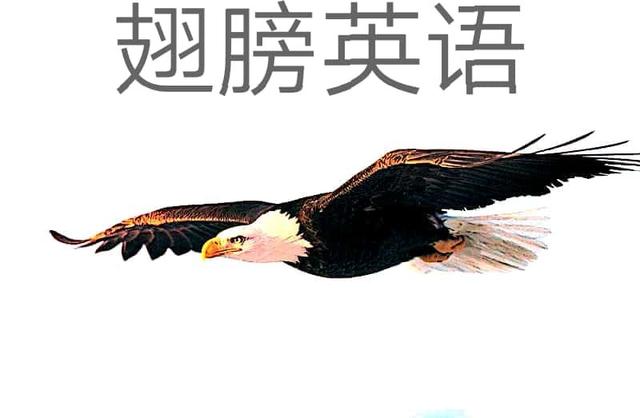 九年级英语中考必考知识点,河南中考英语必考知识点