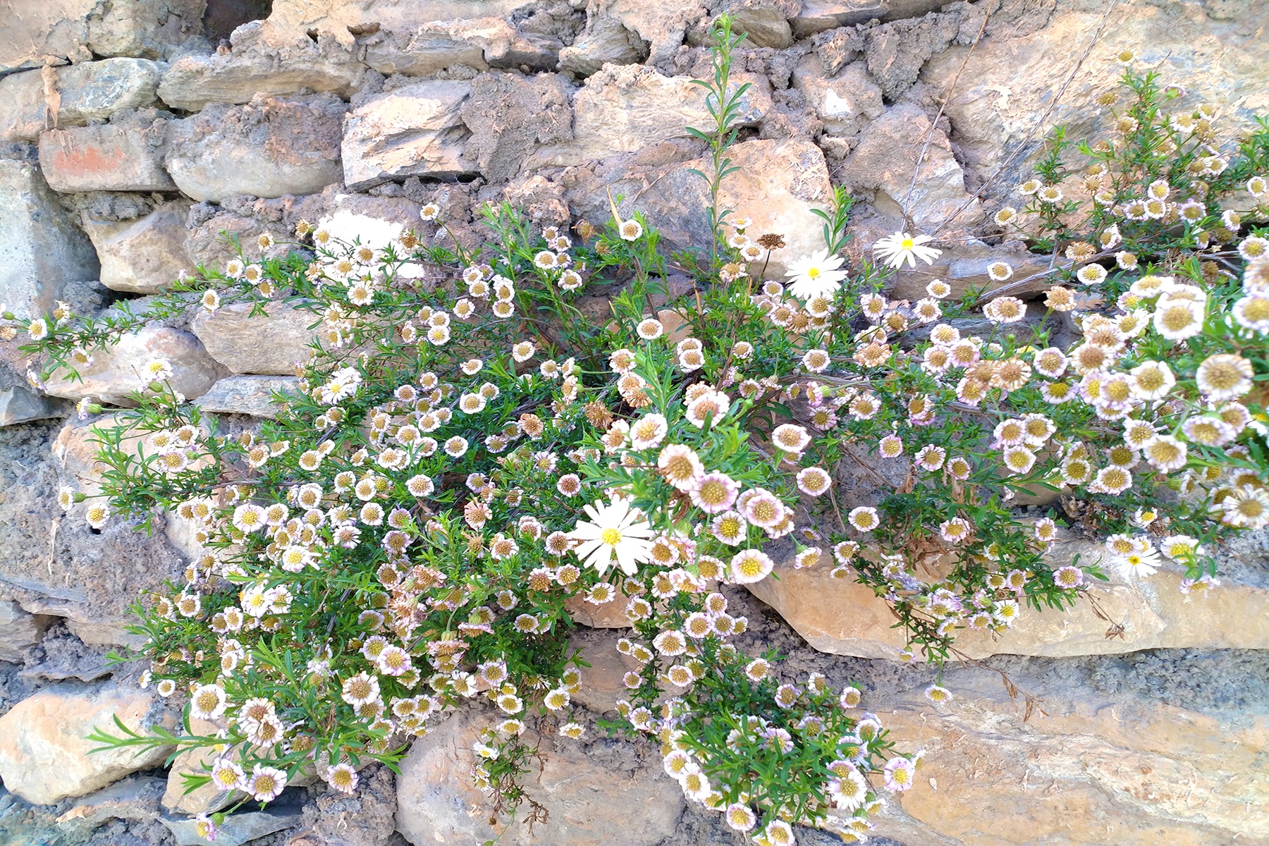 成都周边冷门山区景点,成都周围的大山的全景图