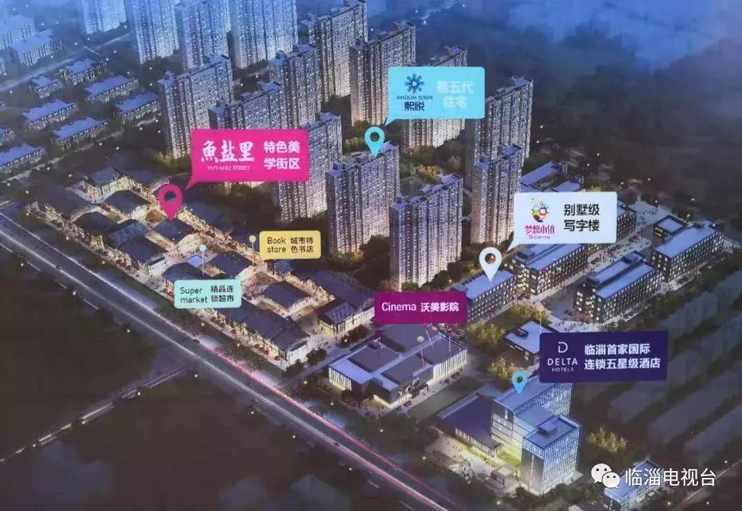 淄博市经济社会发展现场观摩点评,2020年度淄博市经济社会发展