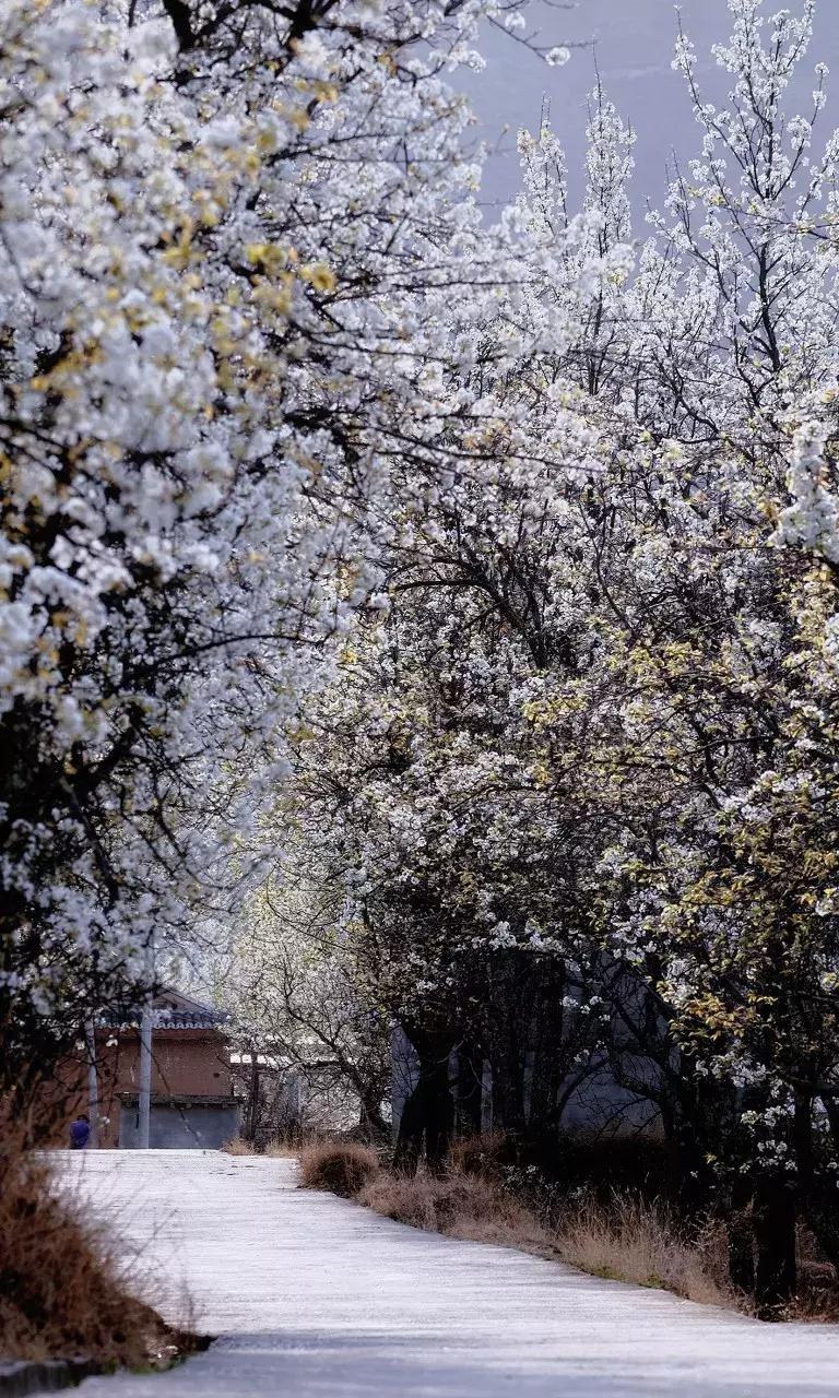 丽江最美的一个地方,中国最美100个地方丽江