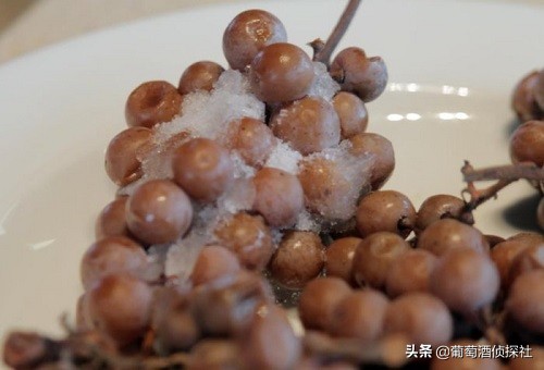 加拿大最好的冰酒,关于冰酒的100个知识
