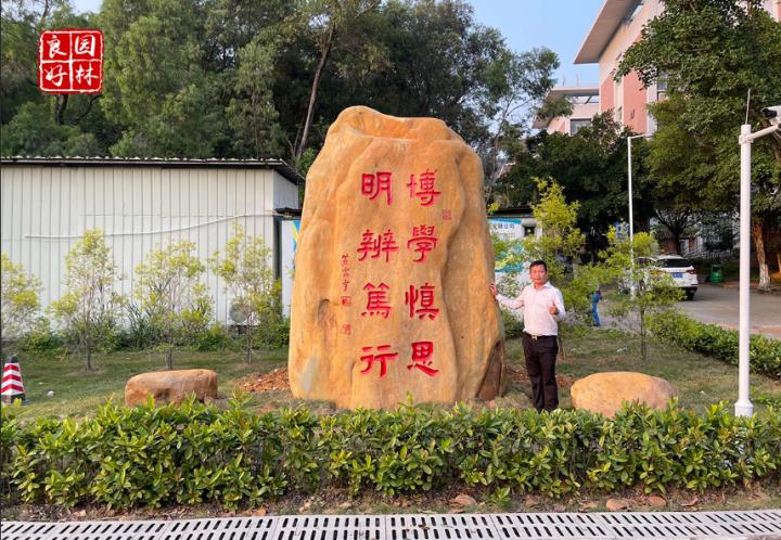 校园草坪文化石图片大全,校园文化石图片大全