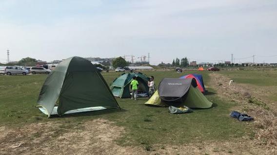 上海比较好的草莓园,上海名优草莓值得推荐