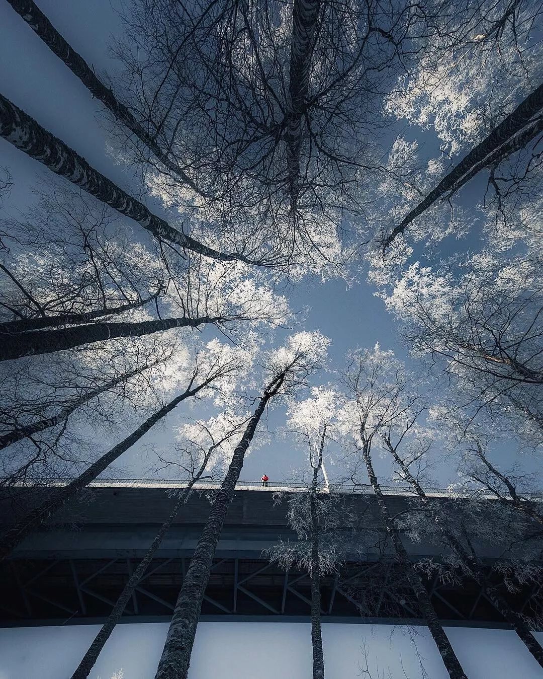 广角次品,广角失真是啥意思