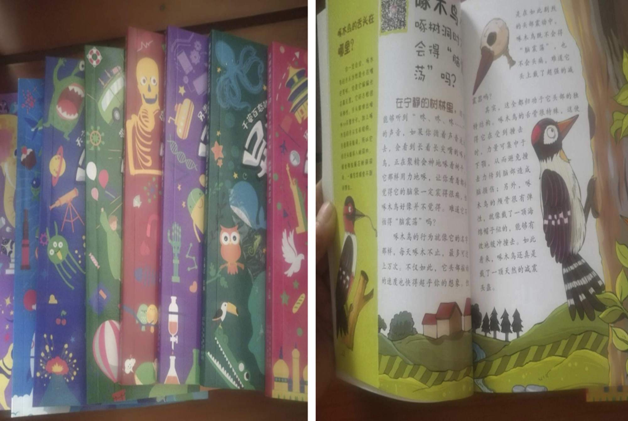 青春期孩子大脑什么时候开发,小孩大脑开发最佳的三个时间