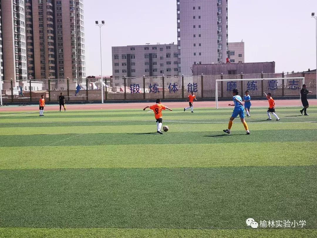 阳光少年展示,阳光少年展风采