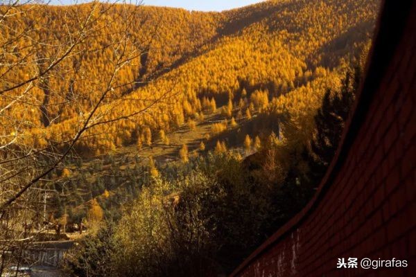 南京户外好玩的地方成人一日游,南京值得一去的3个冷门景点