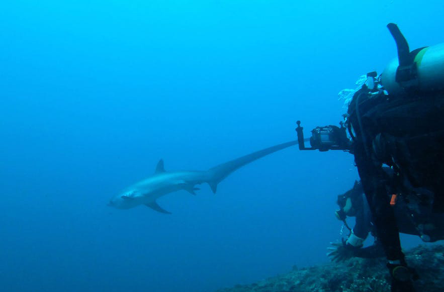 为什么那么多人去菲律宾,为什么那么多人都要去菲律宾