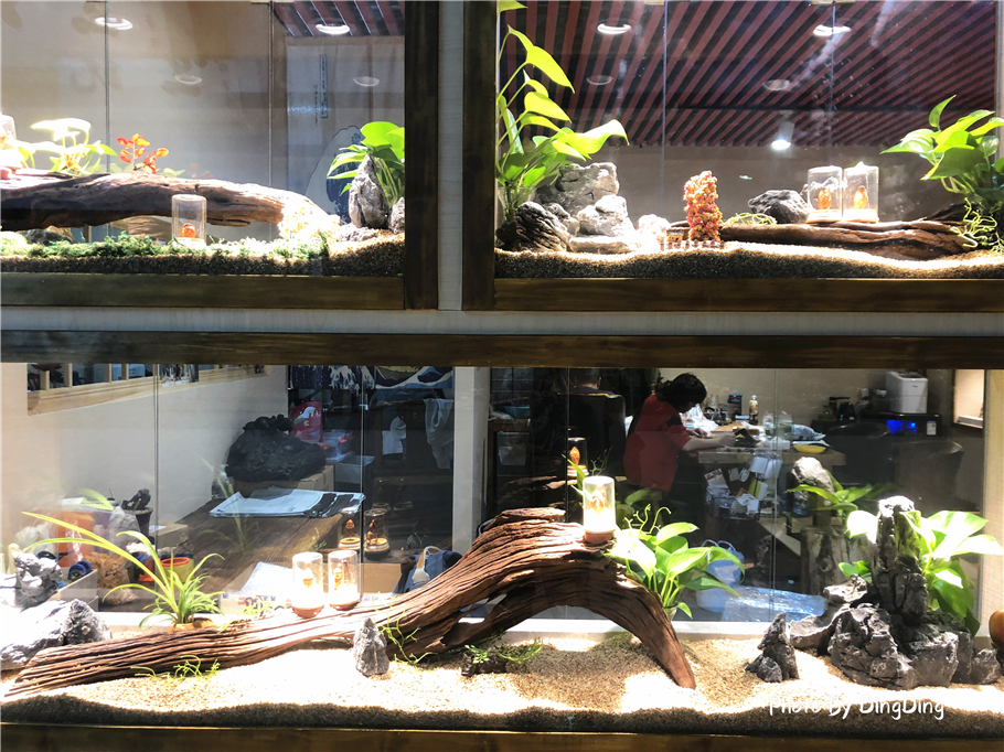 北京潘家园旧货市场游玩攻略,潘家园古玩市场附近有什么景点