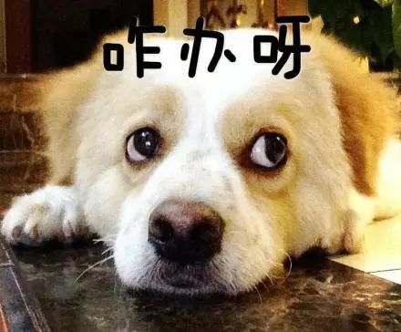 圆圆胖胖的喝奶杯，小鹿角也太可爱了吧