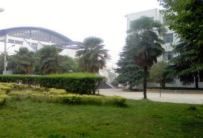 驻马店二中特级教师,特级教师驻马店