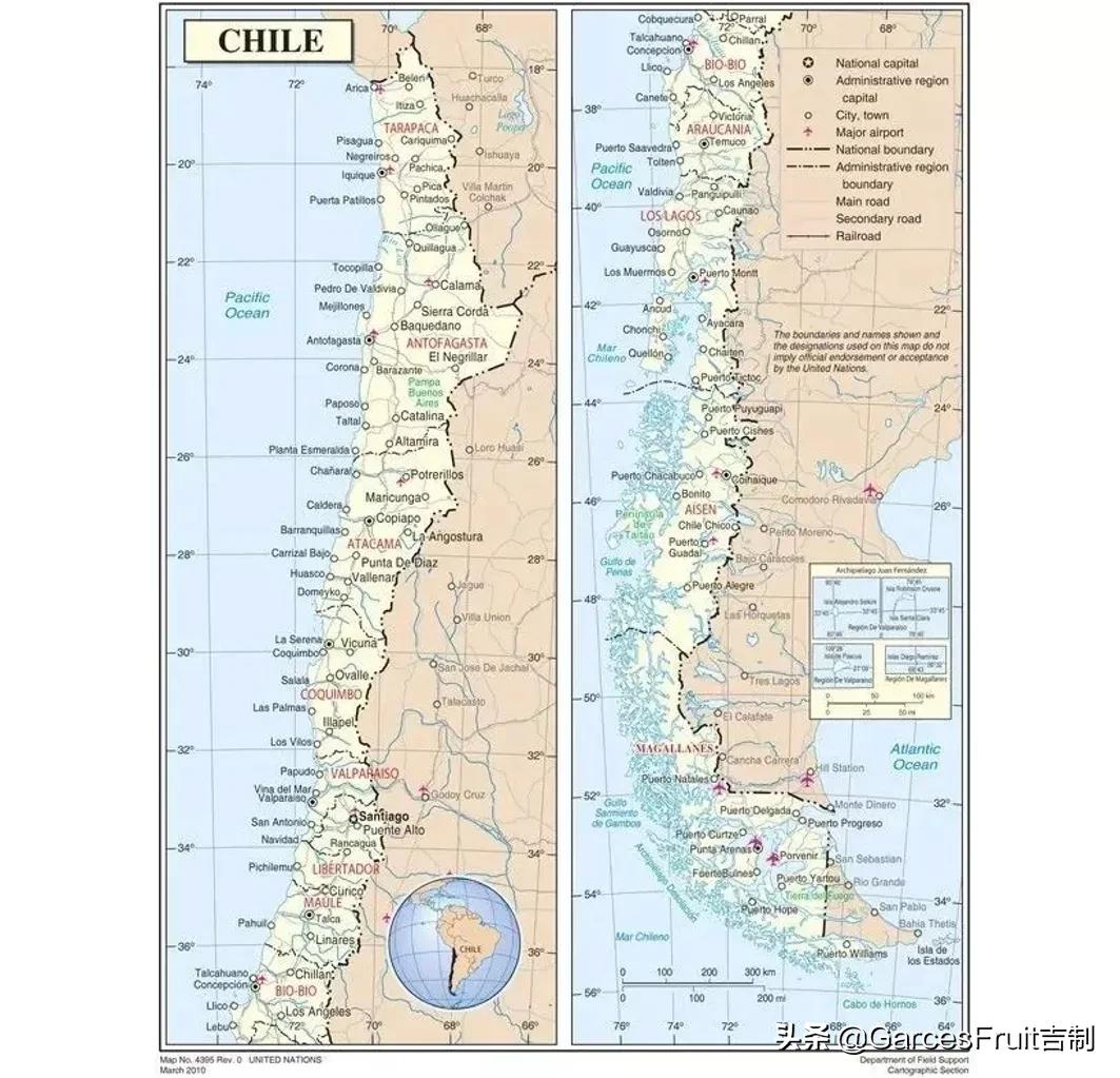 智利车厘子10大品牌,智利车厘子介绍视频