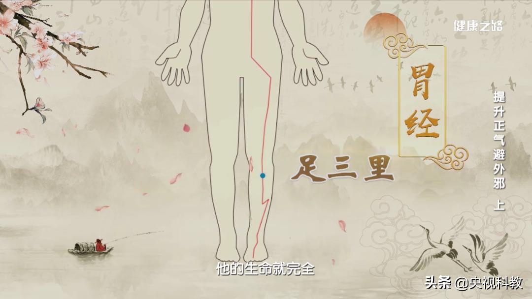 中医艾灸如何辨证,中医艾灸两点一线