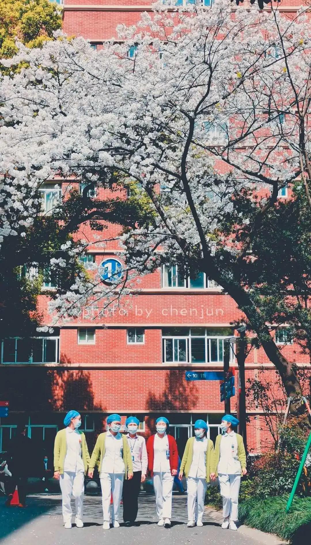 头颈部鳞状细胞癌靶向药,头颈部鳞癌新药