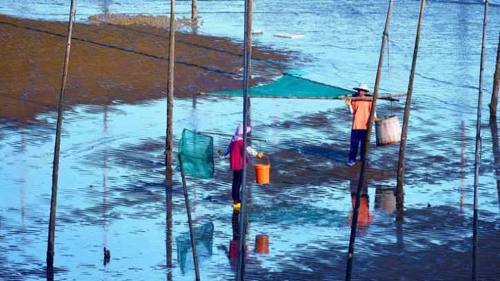 霞浦滩涂光影摄影作品,霞浦摄影风光