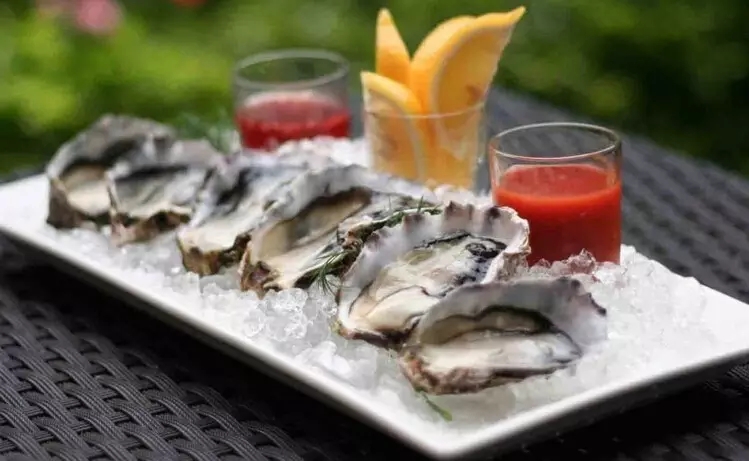 史上最全面的海鲜大咖,史上最全海鲜视频