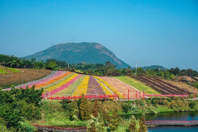 深圳网红打卡酒店推荐,深圳东部华侨城景区酒店