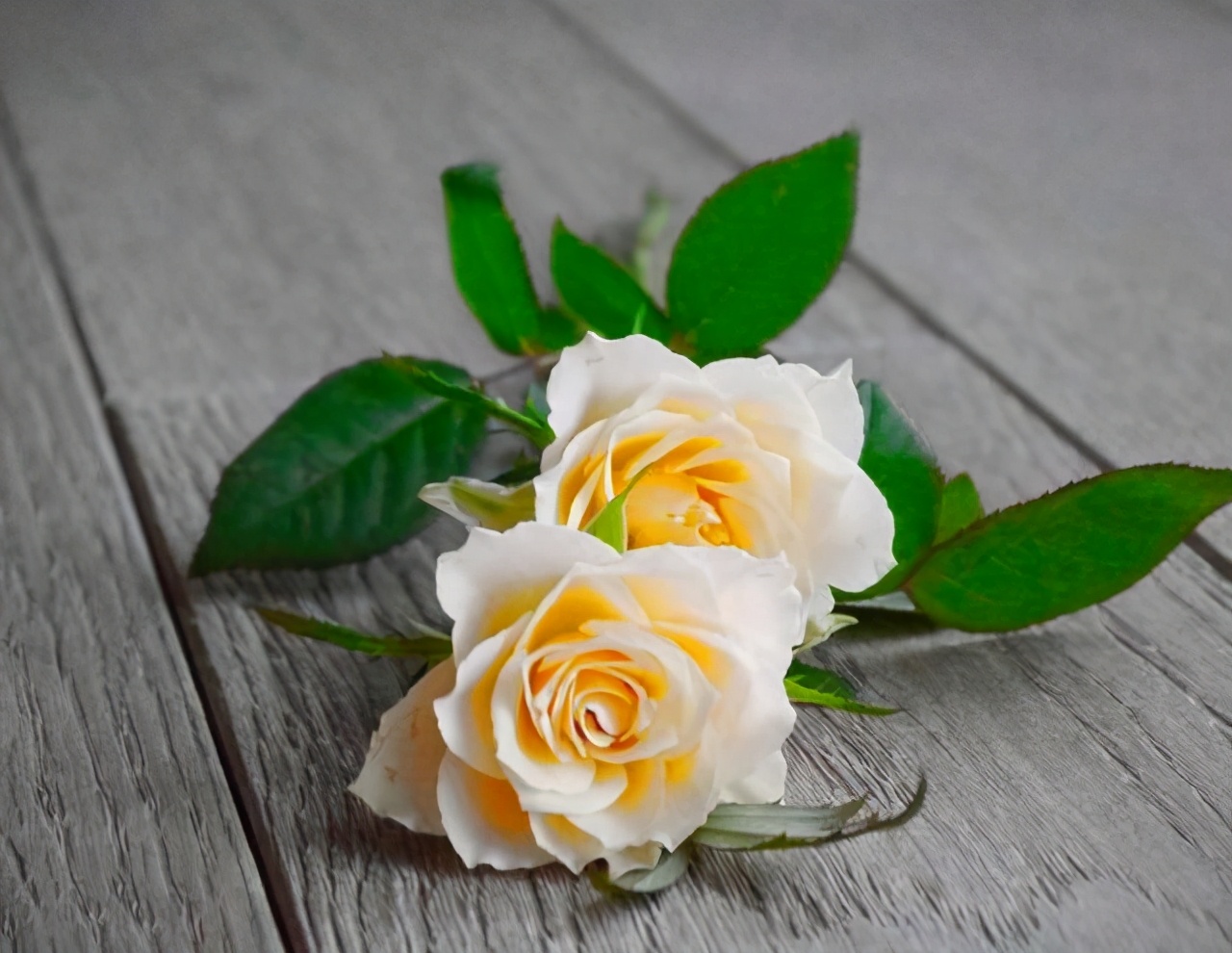 真正值得嫁的女人,真正值得你嫁的人