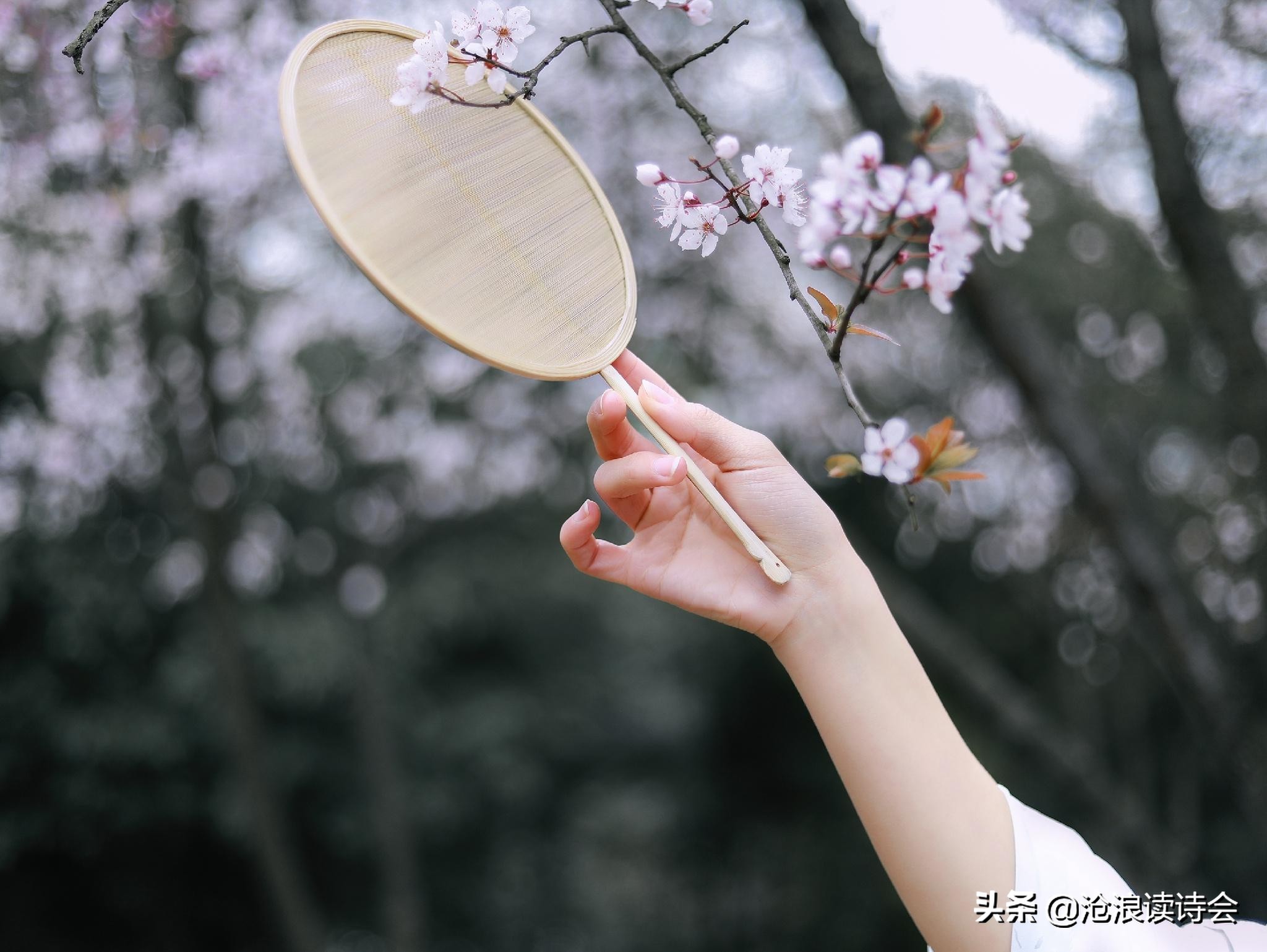 一人一首代表作,月无心妙评当代19首好诗,有趣有料,读完受益